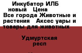 Инкубатор ИЛБ-0,5 новый › Цена ­ 35 000 - Все города Животные и растения » Аксесcуары и товары для животных   . Удмуртская респ.,Ижевск г.